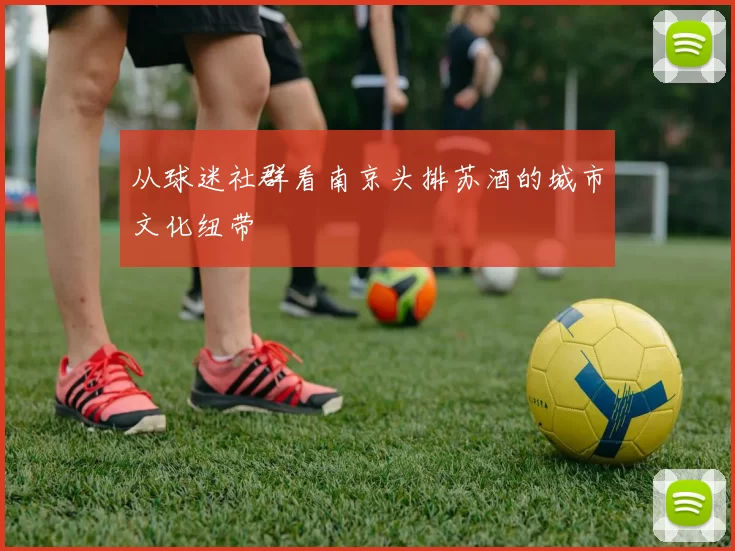 从球迷社群看南京头排苏酒的城市文化纽带