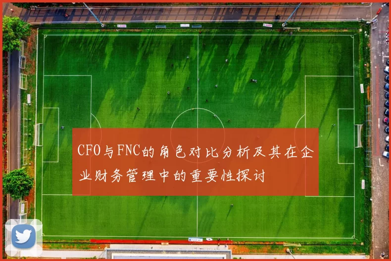 CFO与FNC的角色对比分析及其在企业财务管理中的重要性探讨