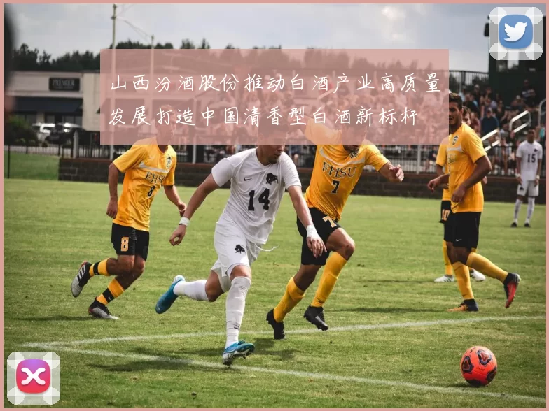 山西汾酒股份推动白酒产业高质量发展打造中国清香型白酒新标杆