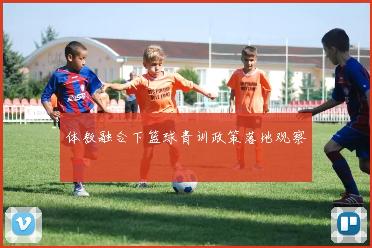 体教融合下篮球青训政策落地观察