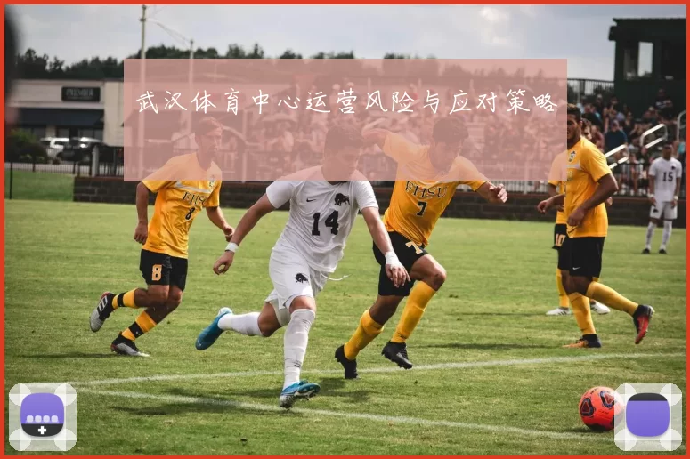 武汉体育中心运营风险与应对策略